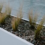 Moderne plantenbakken zonder bodem in een stijlvolle tuinsetting met bloemen en groene planten.