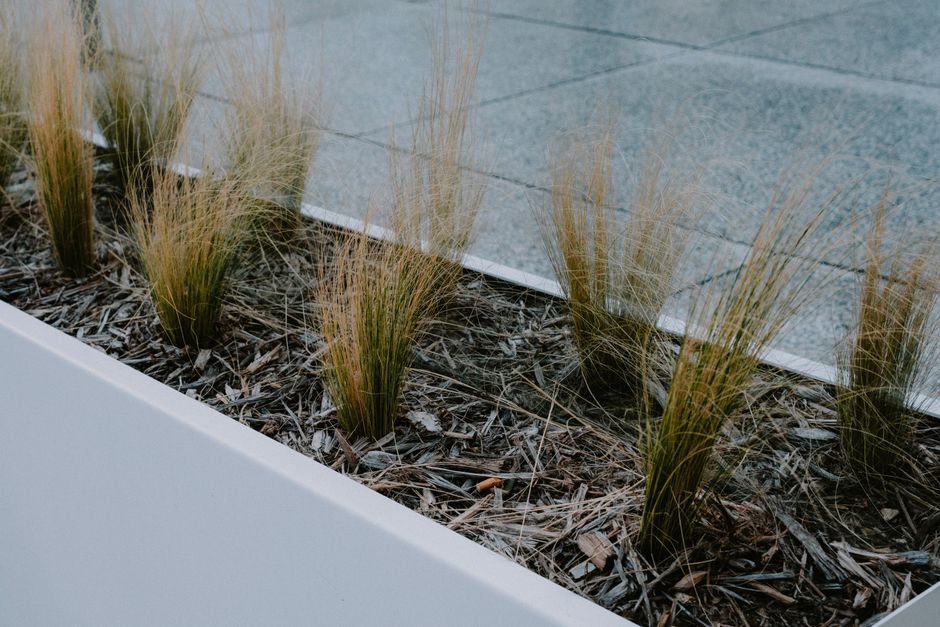 Moderne plantenbakken zonder bodem in een stijlvolle tuinsetting met bloemen en groene planten.